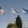 FAQs: What flags are these?