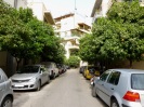 Athens-street-with-bitter-orange-trees